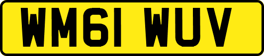 WM61WUV