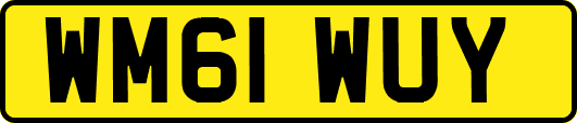 WM61WUY