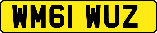 WM61WUZ