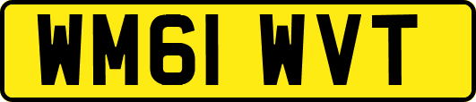 WM61WVT