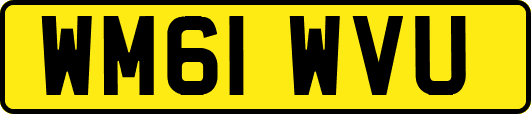 WM61WVU