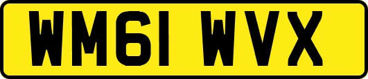 WM61WVX