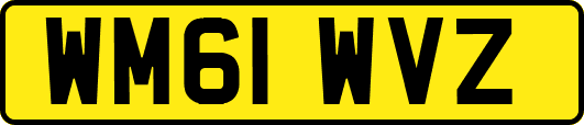 WM61WVZ