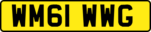 WM61WWG