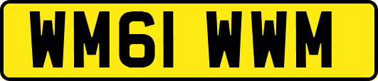 WM61WWM