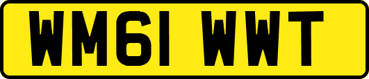 WM61WWT