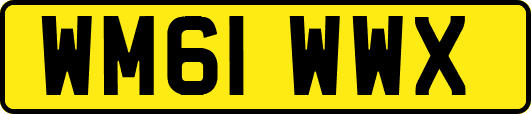 WM61WWX