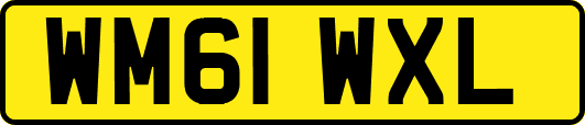 WM61WXL