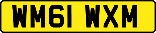 WM61WXM