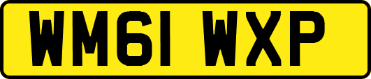 WM61WXP