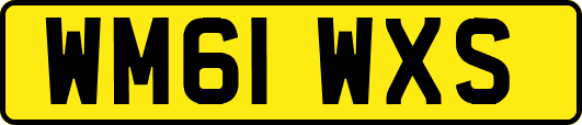 WM61WXS