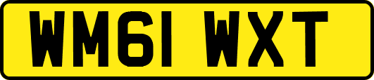 WM61WXT