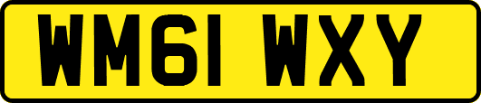WM61WXY
