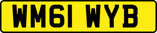 WM61WYB