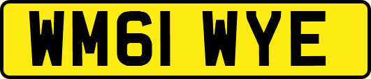 WM61WYE