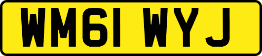 WM61WYJ