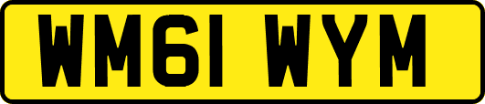 WM61WYM