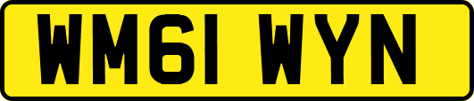 WM61WYN