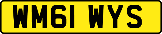WM61WYS