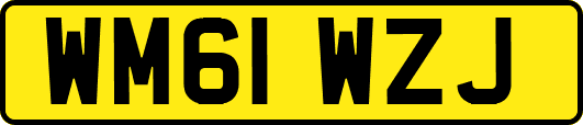 WM61WZJ