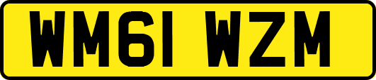 WM61WZM