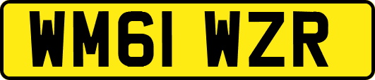 WM61WZR