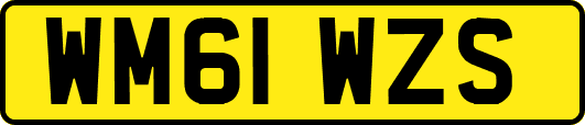 WM61WZS