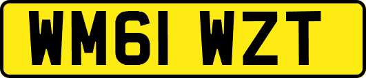 WM61WZT