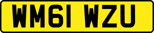 WM61WZU