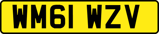 WM61WZV