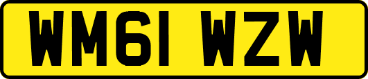 WM61WZW