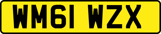 WM61WZX