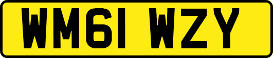 WM61WZY