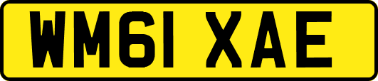 WM61XAE