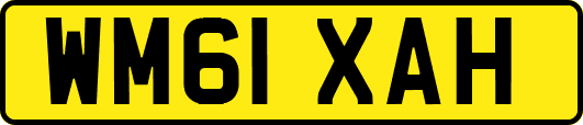 WM61XAH