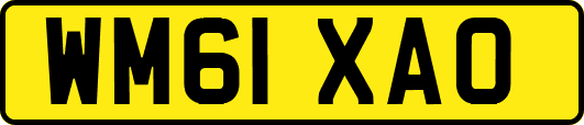 WM61XAO