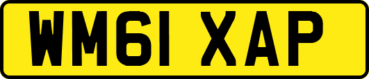 WM61XAP