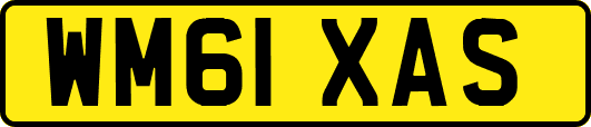 WM61XAS