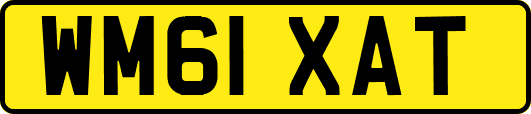 WM61XAT