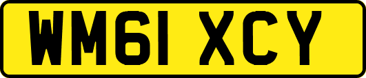 WM61XCY