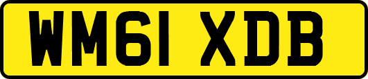 WM61XDB