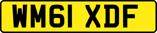 WM61XDF