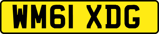 WM61XDG