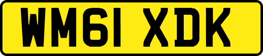 WM61XDK