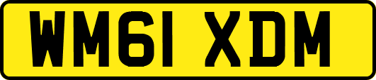 WM61XDM