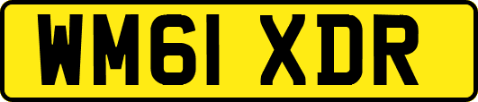 WM61XDR