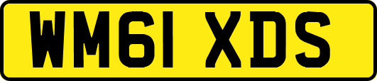 WM61XDS