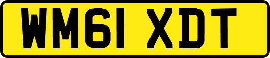 WM61XDT