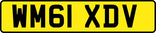 WM61XDV