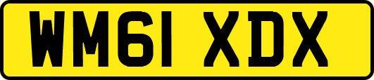 WM61XDX